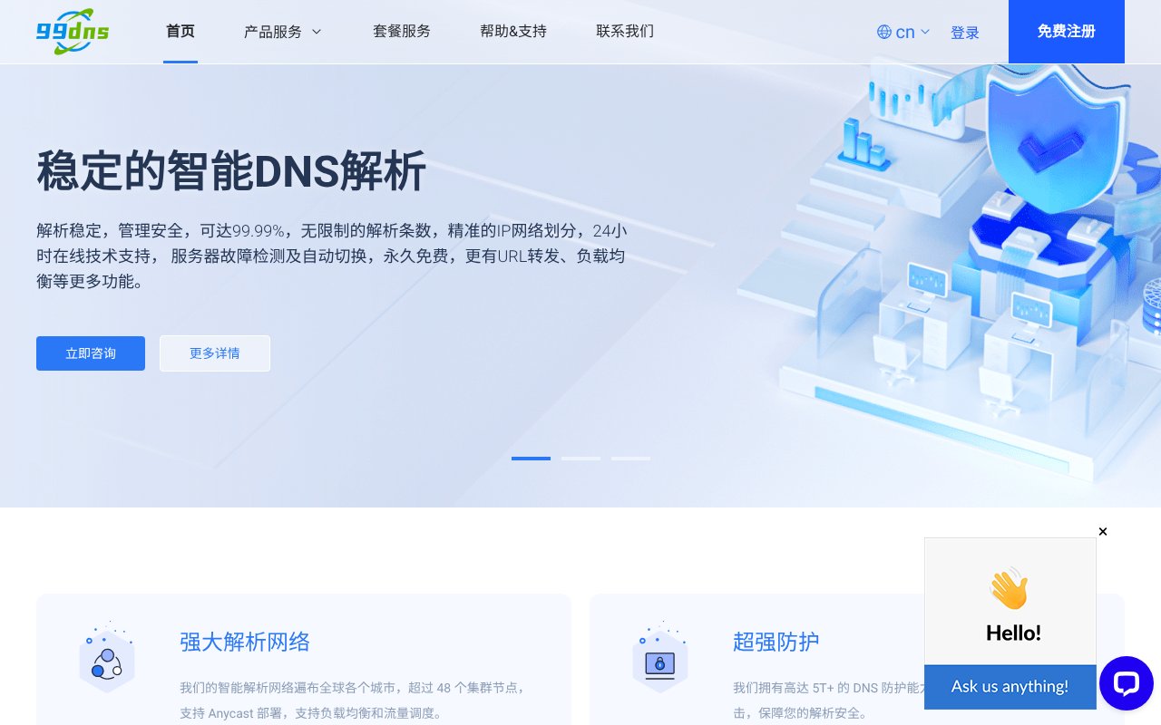 Screenshot of 99dns.com