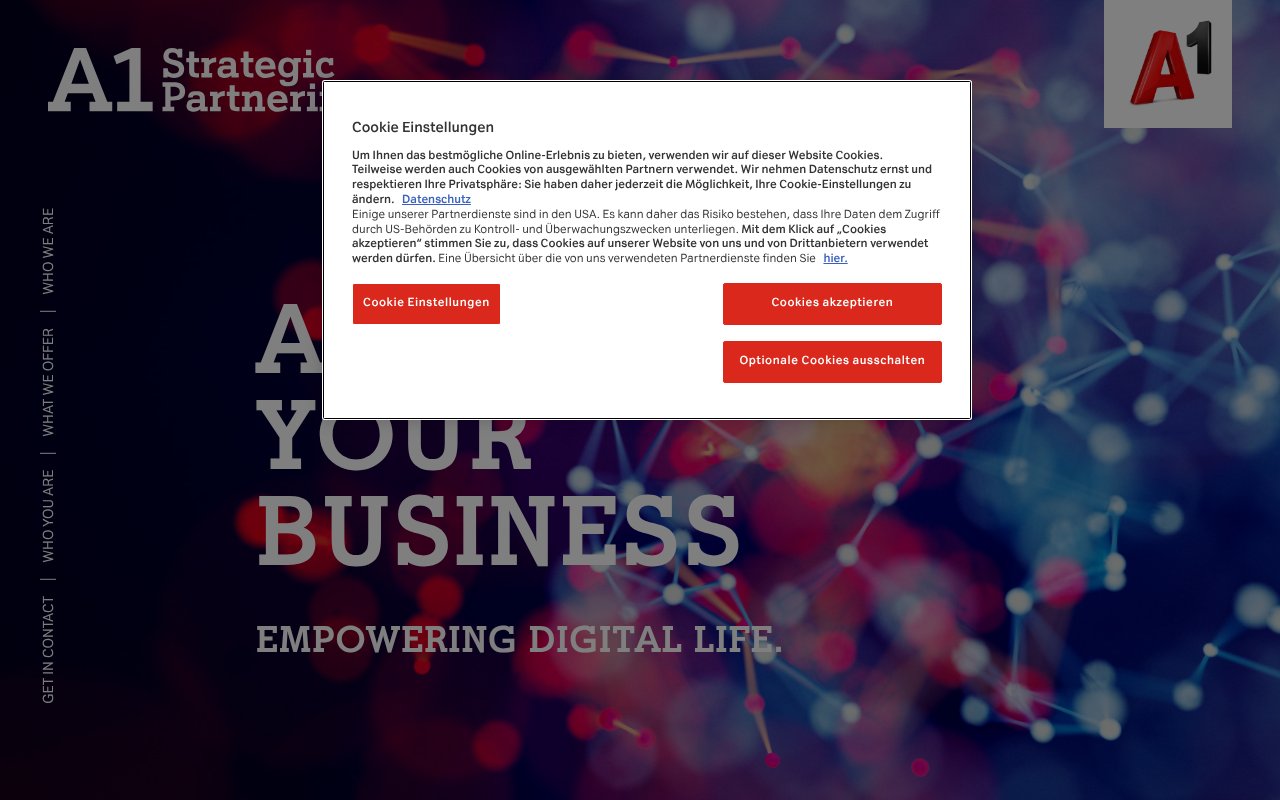 Screenshot of a1partnering.com