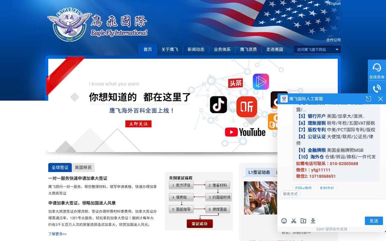 Screenshot of acivisa.cn