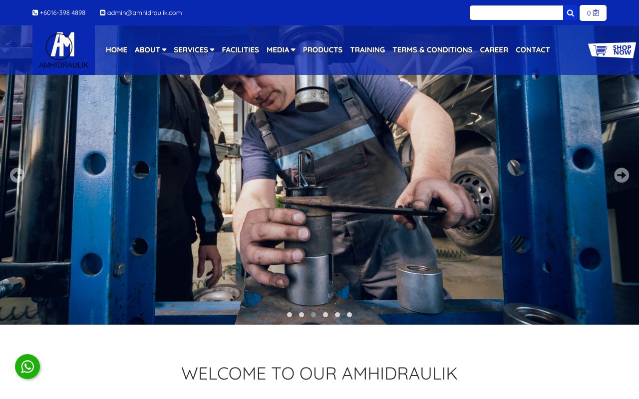 Screenshot of amhidraulik.com