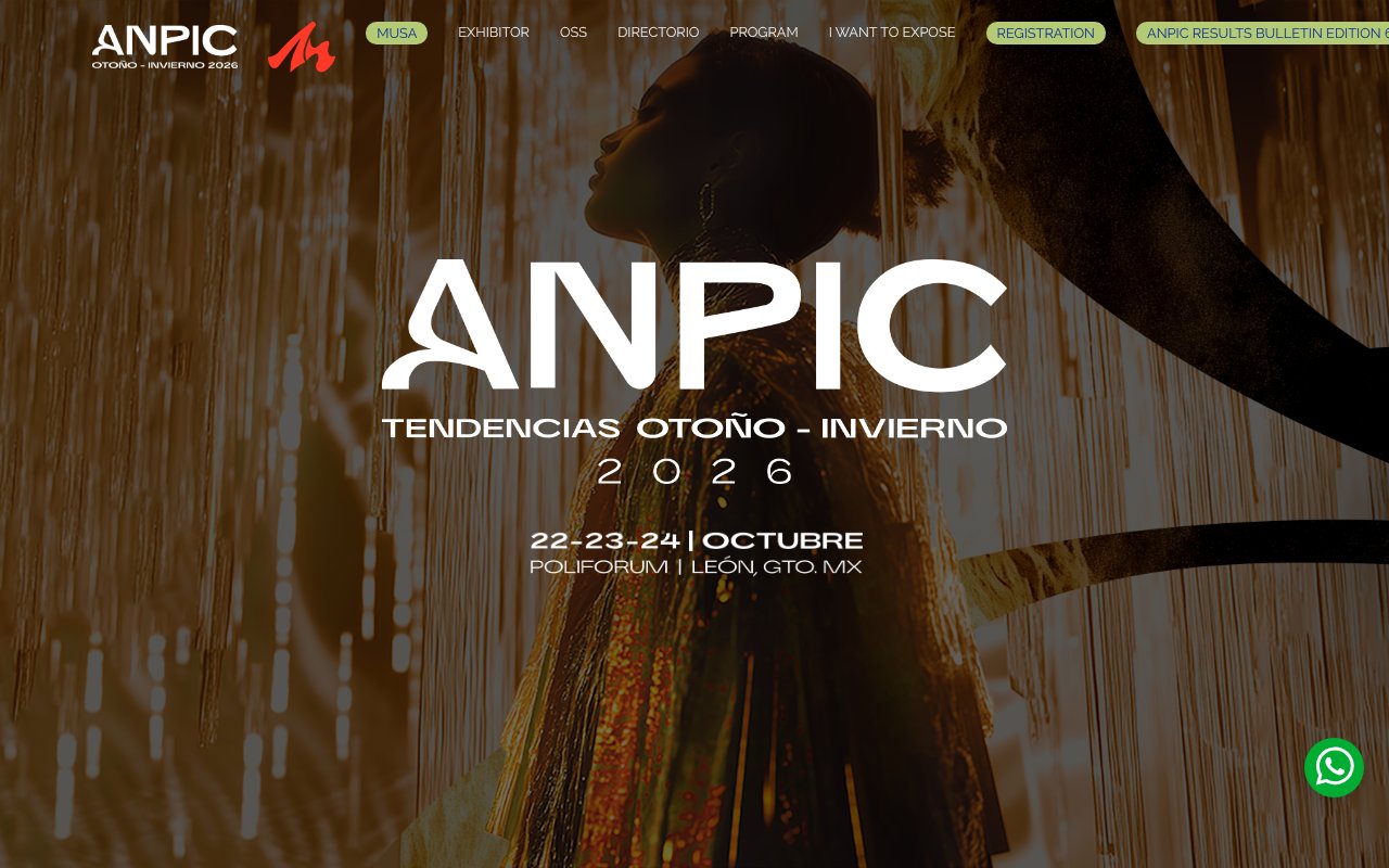 Screenshot of anpic.com