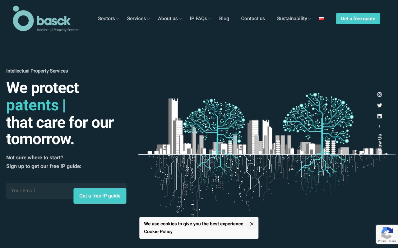 Screenshot of basck.com