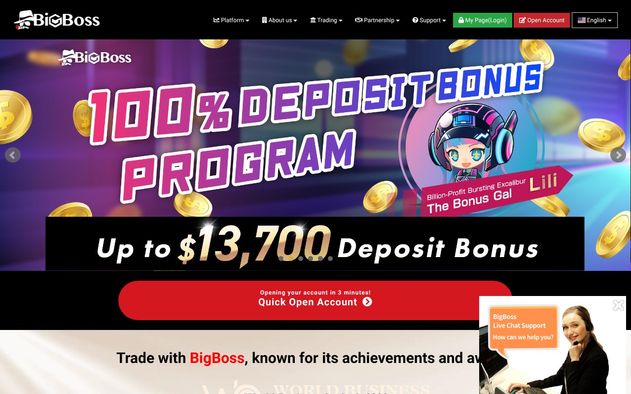 Screenshot of bigboss-financial.com