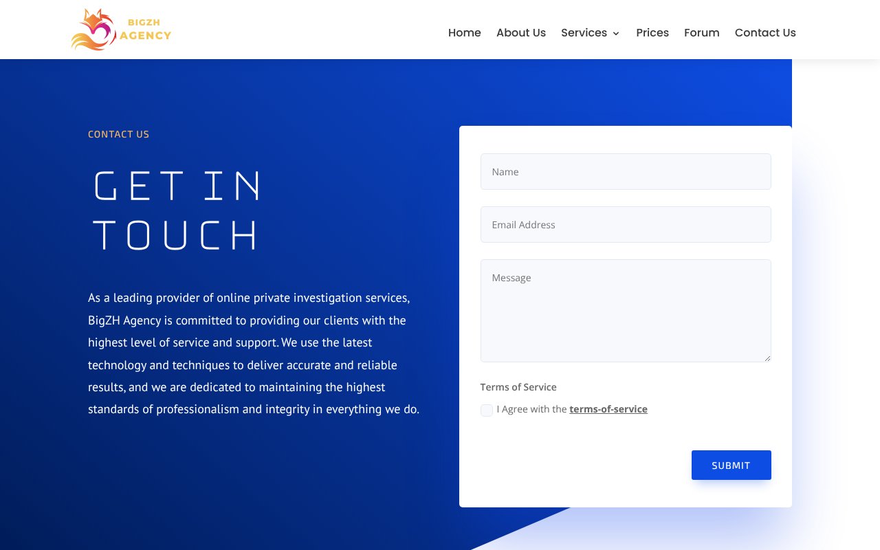 Screenshot of bigzh.com