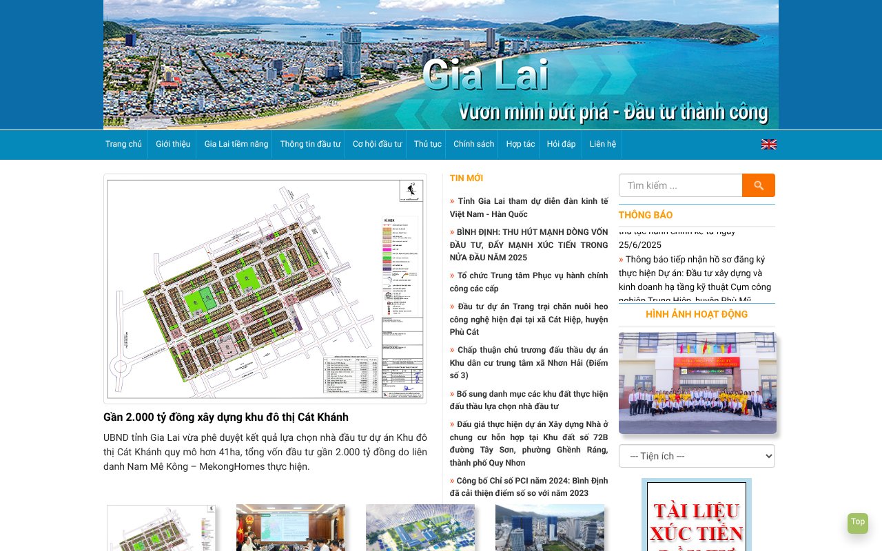 Screenshot of binhdinhinvest.gov.vn