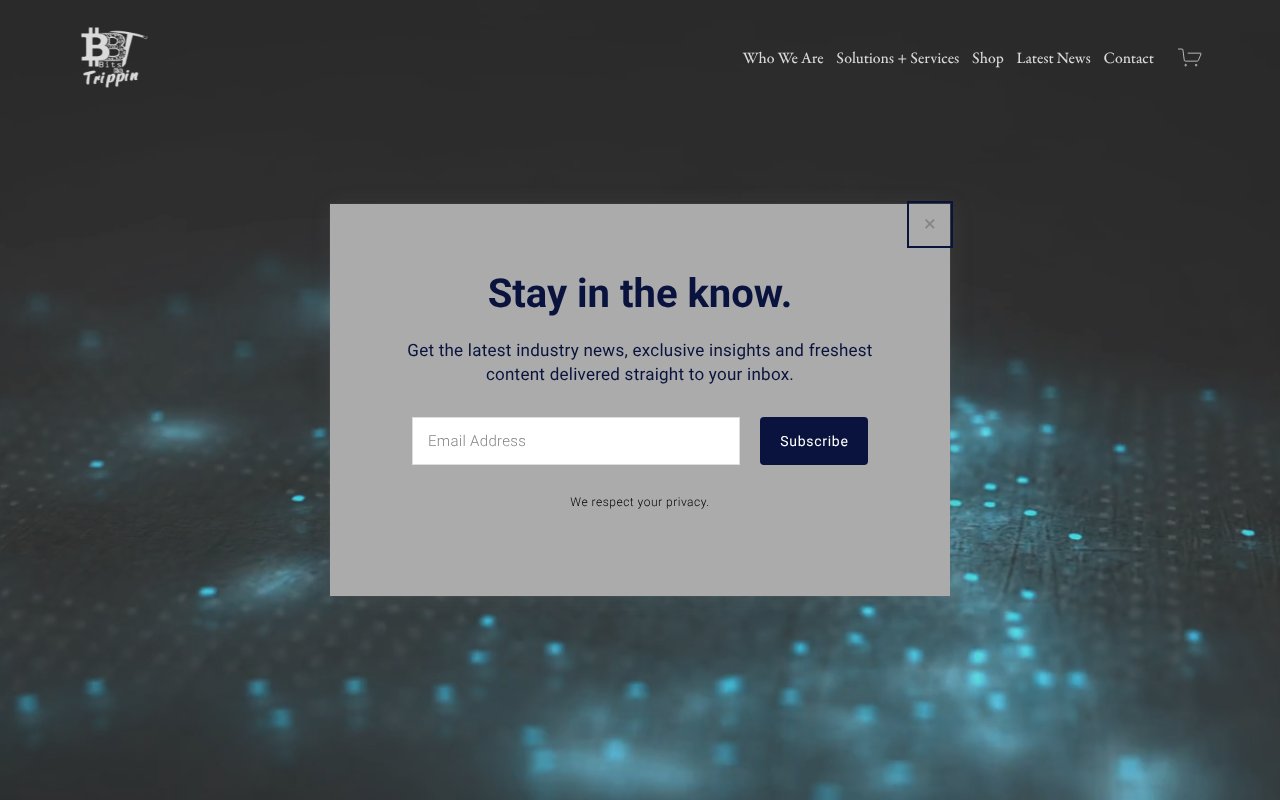 Screenshot of bitsbetrippin.io