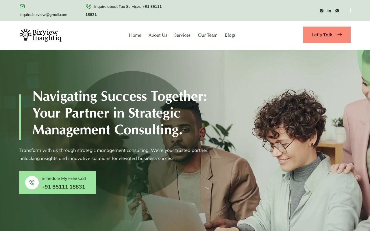 Screenshot of bizinsightiq.com