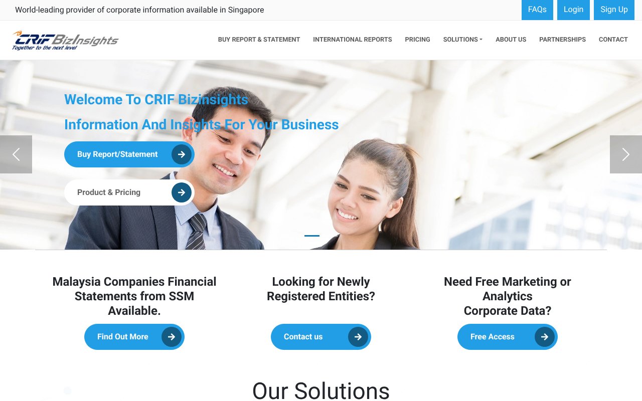 Screenshot of bizinsights.net