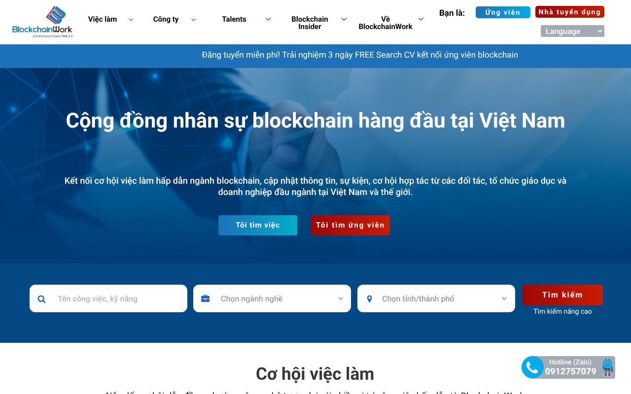 Screenshot of blockchainwork.net