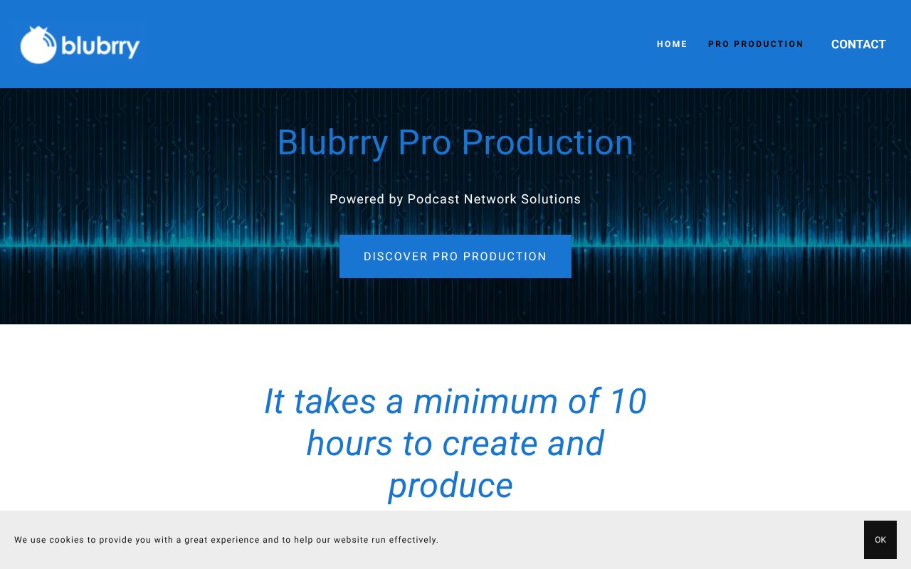Screenshot of blubrrypro.com