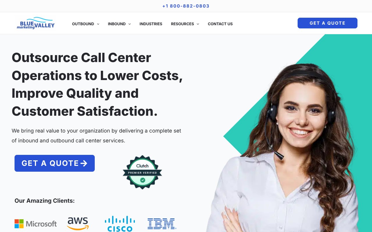 Screenshot of bluevalleymarketing.com