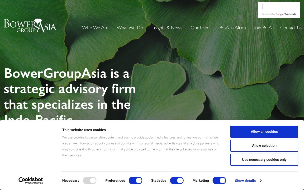 Screenshot of bowergroupasia.com