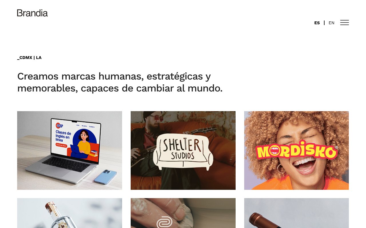 Screenshot of brandia.com.mx