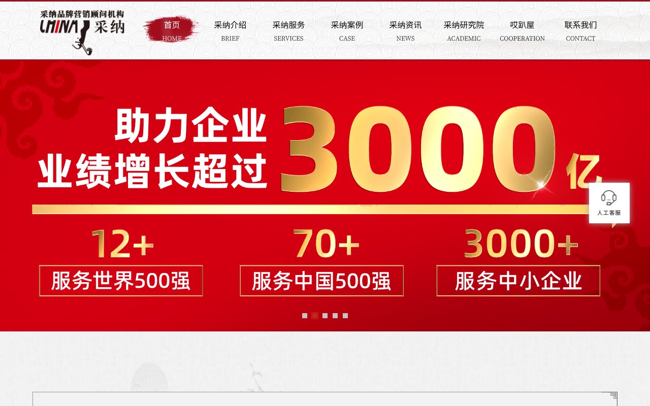 Screenshot of caina.com