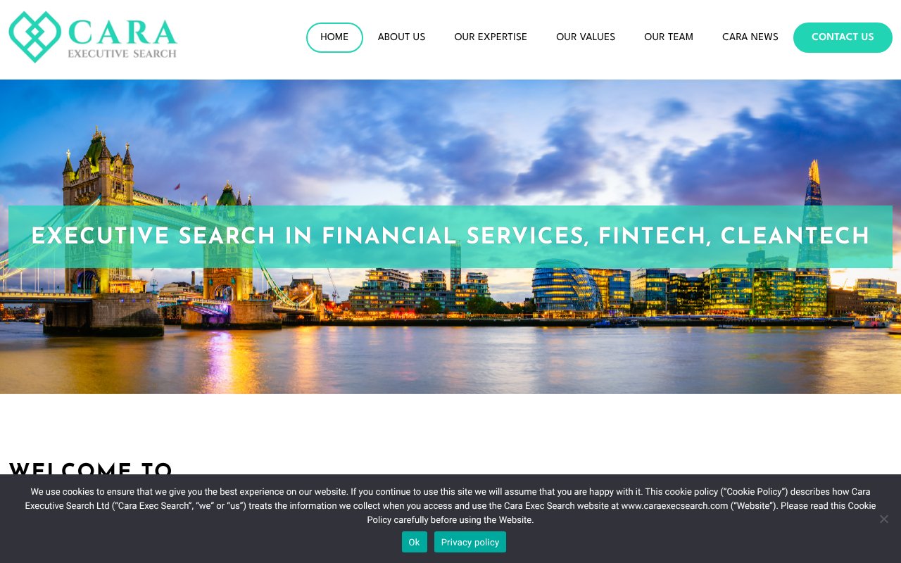 Screenshot of caraexecsearch.com