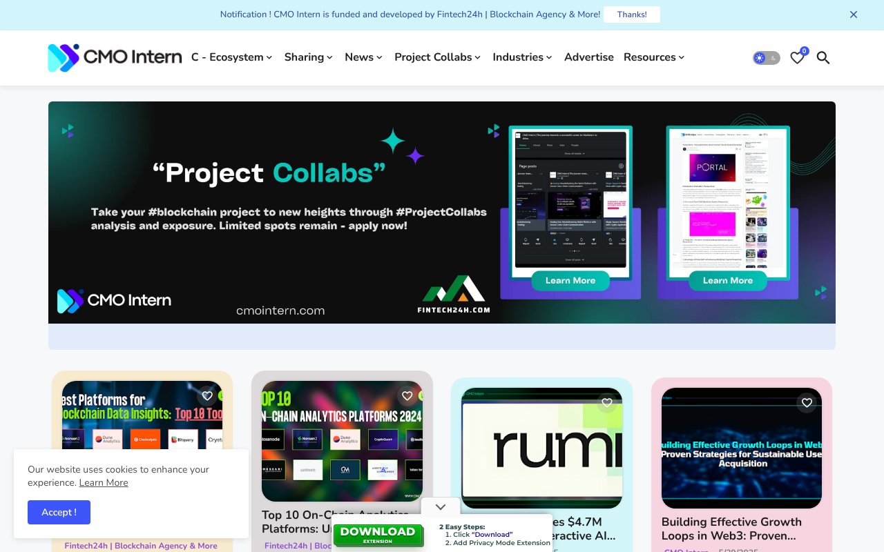 Screenshot of cmointern.com