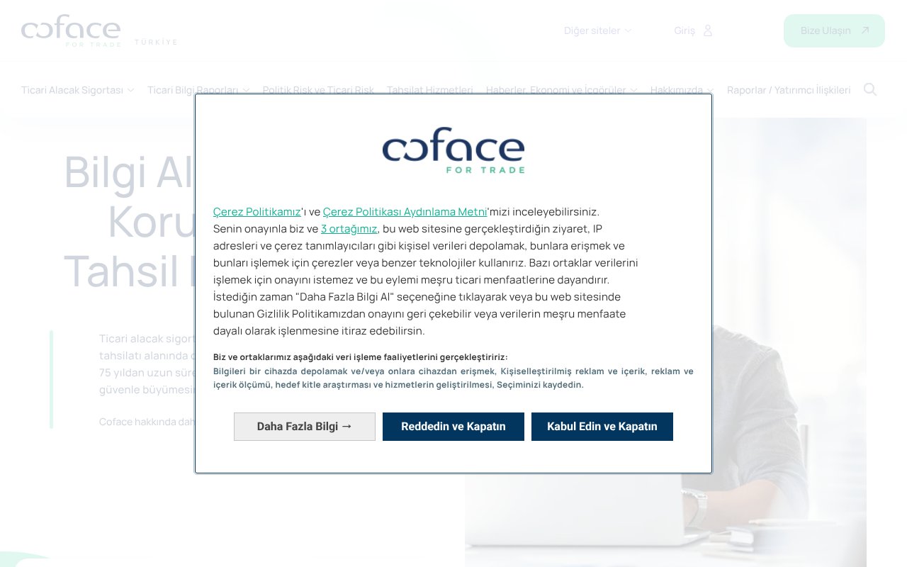 Screenshot of coface.com.tr