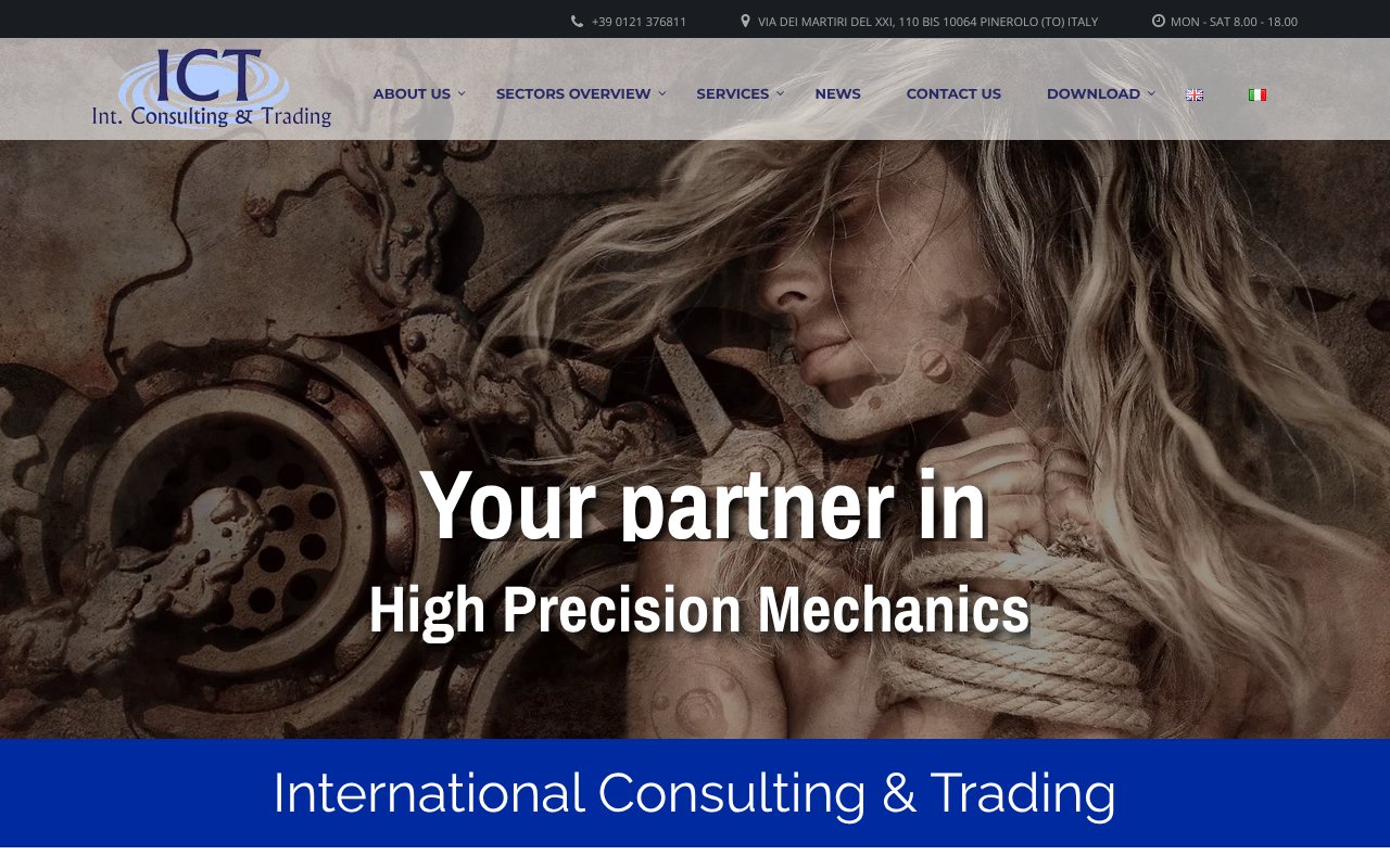 Screenshot of consulting-trading.com