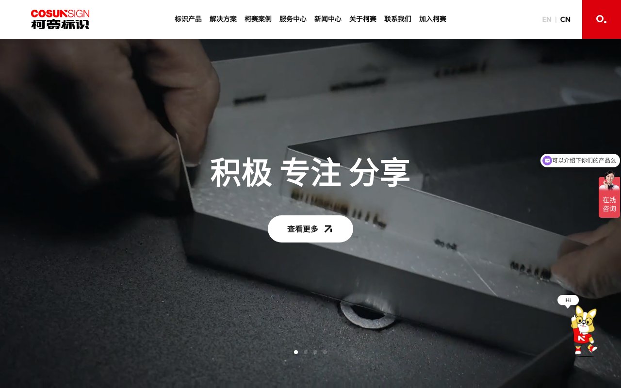 Screenshot of cosunsign.com