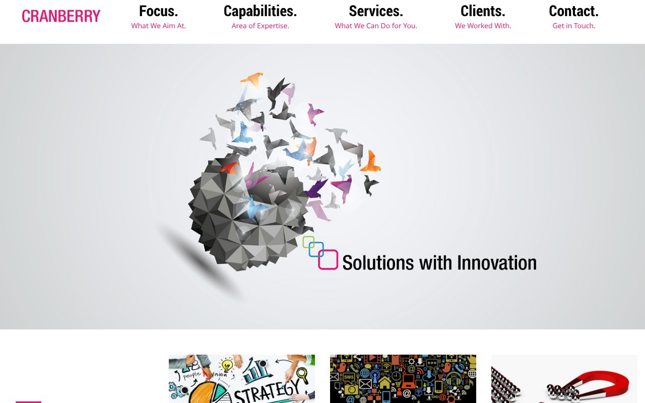 Screenshot of cranberryindia.com