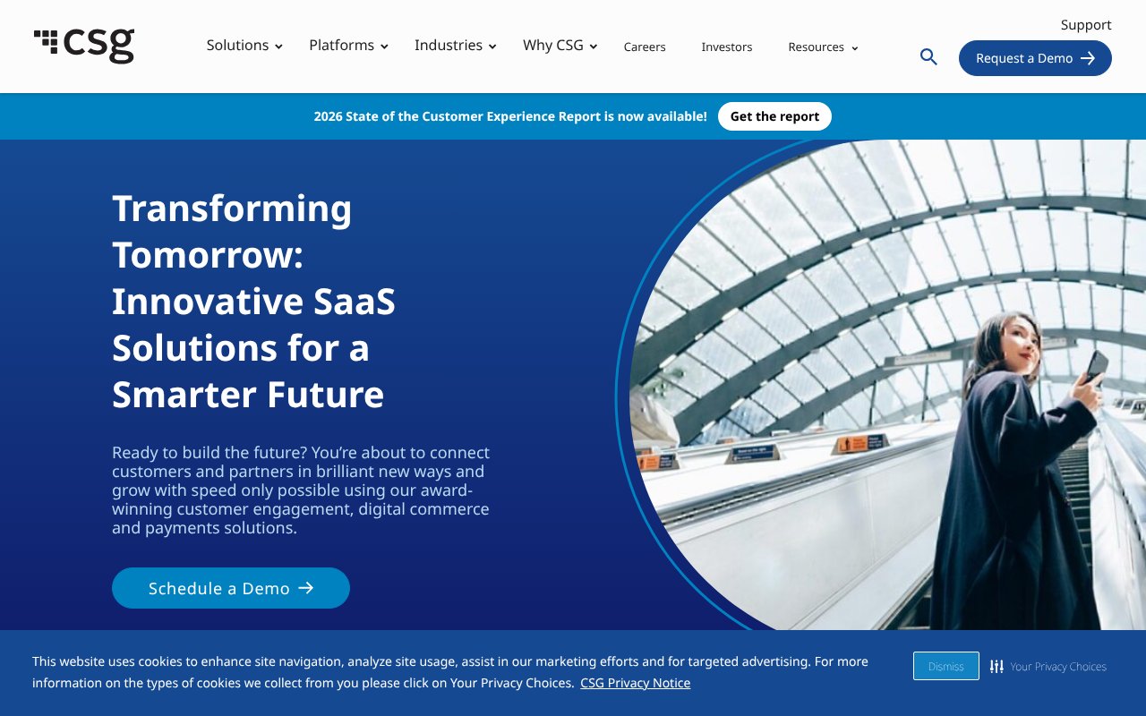 Screenshot of csgi.com