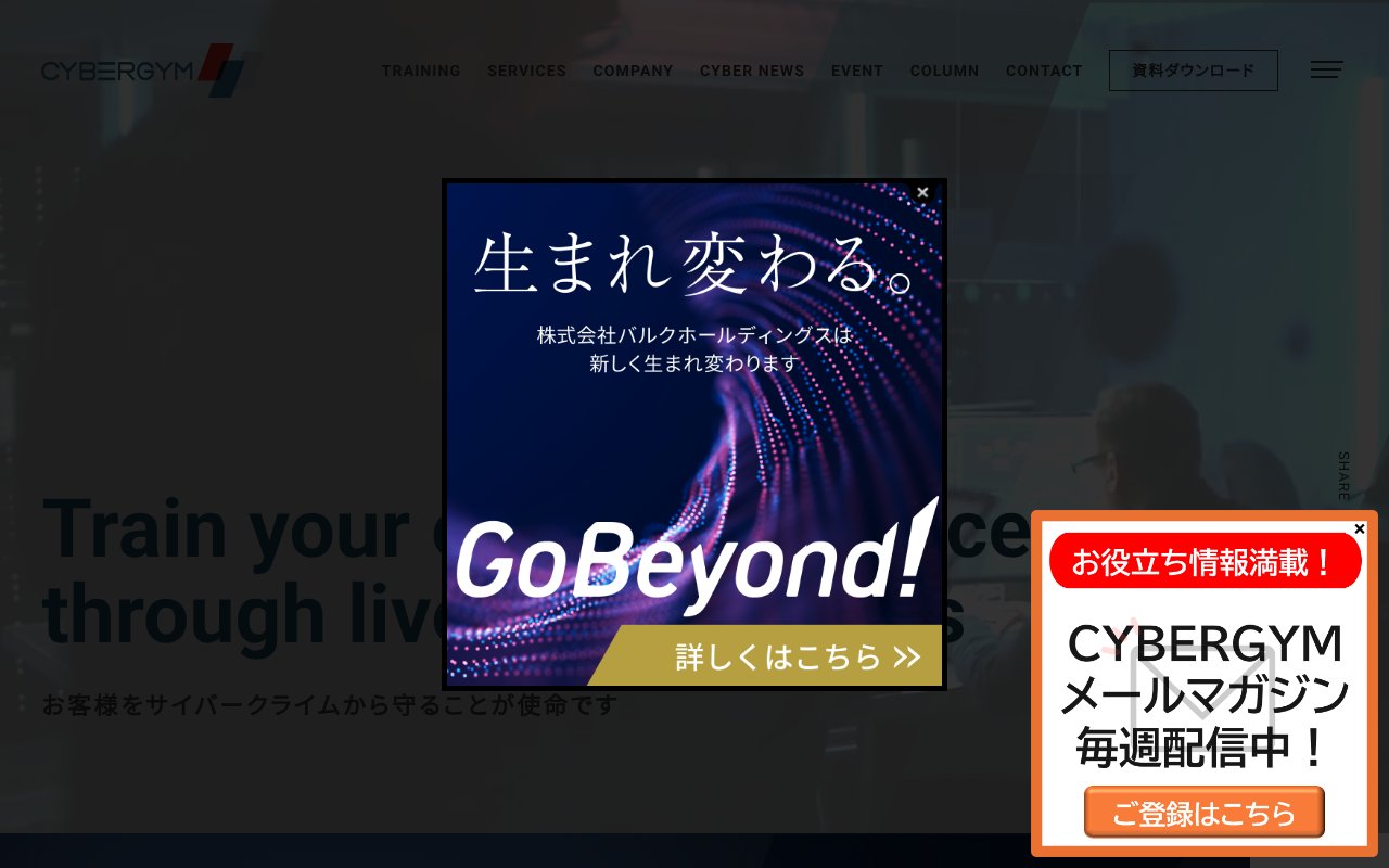 Screenshot of cybergymjapan.com