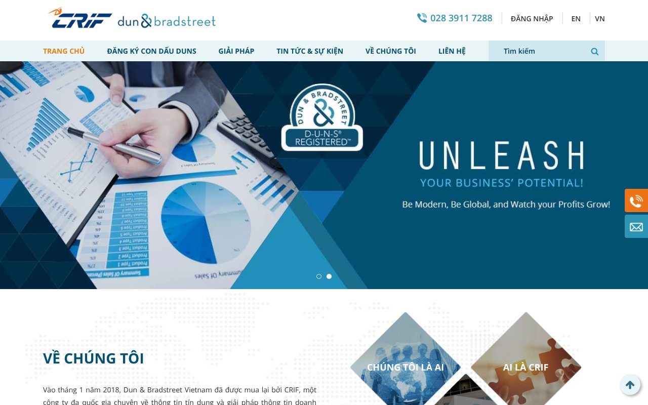 Screenshot of dnbvietnam.com