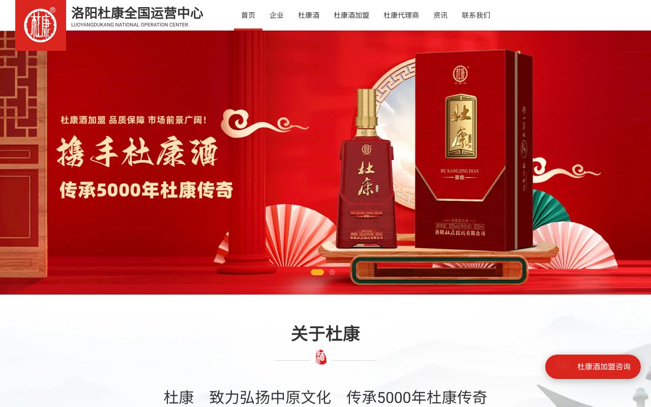 Screenshot of dukang1972.com