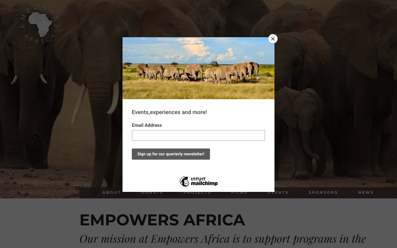 Screenshot of empowersafrica.org