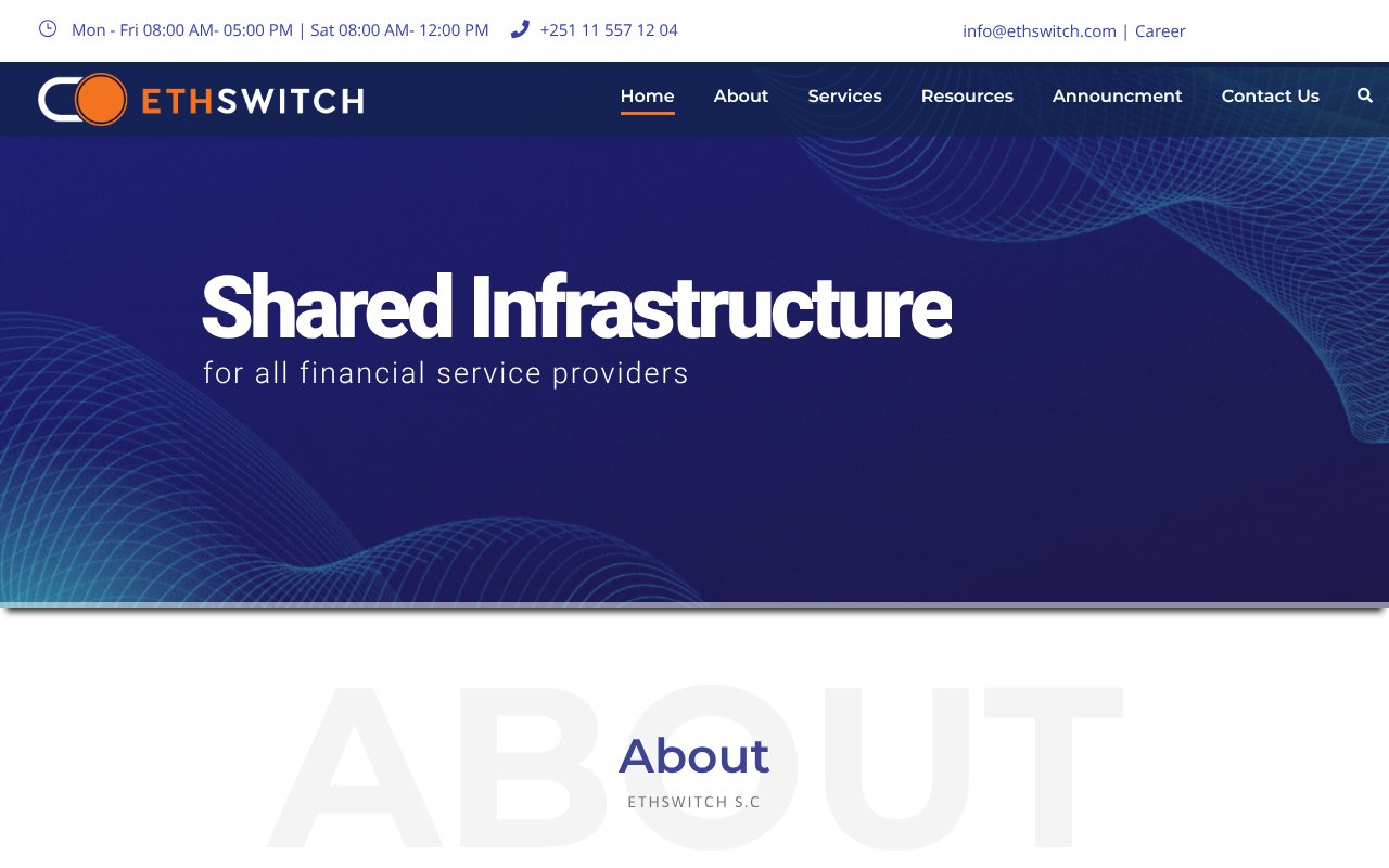 Screenshot of ethswitch.com