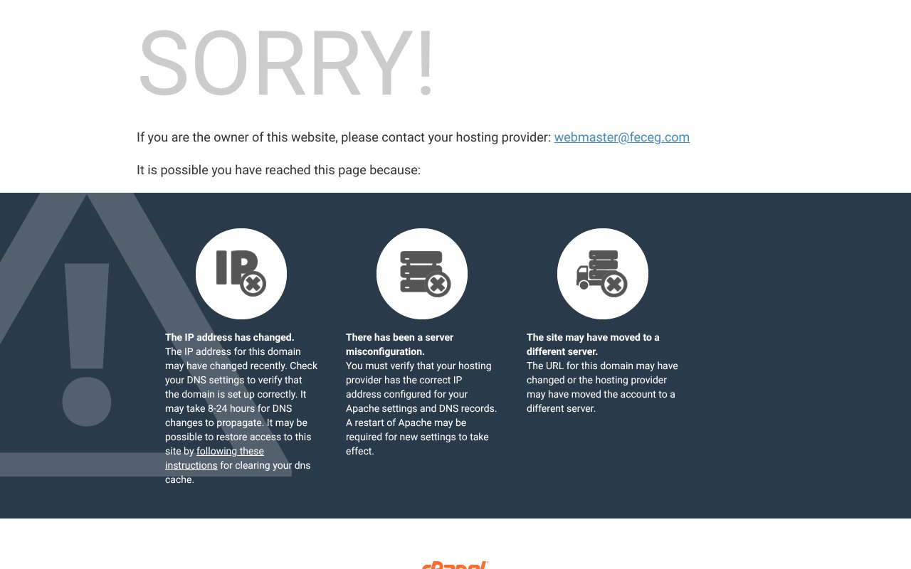 Screenshot of feceg.com