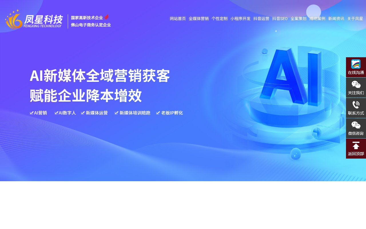 Screenshot of fengxing.net.cn
