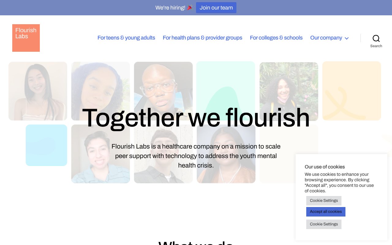 Screenshot of flourishlabs.net
