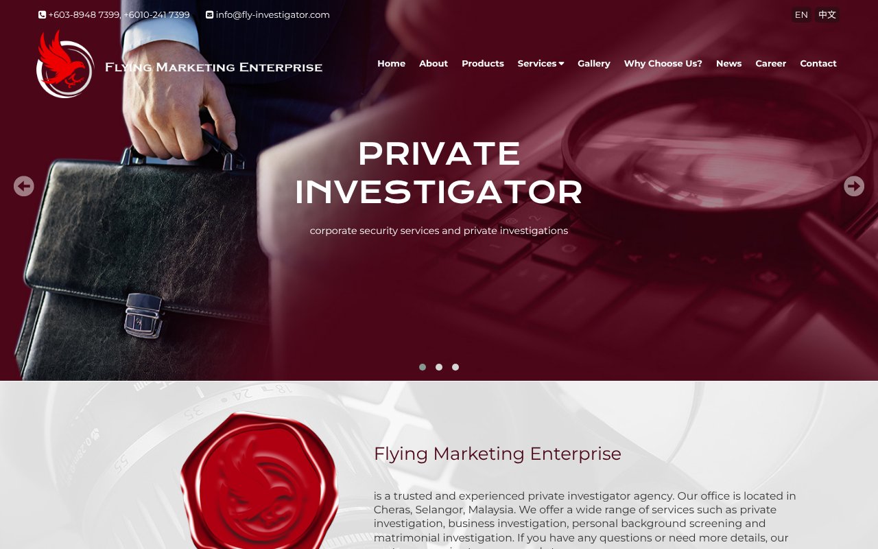 Screenshot of fly-investigator.com
