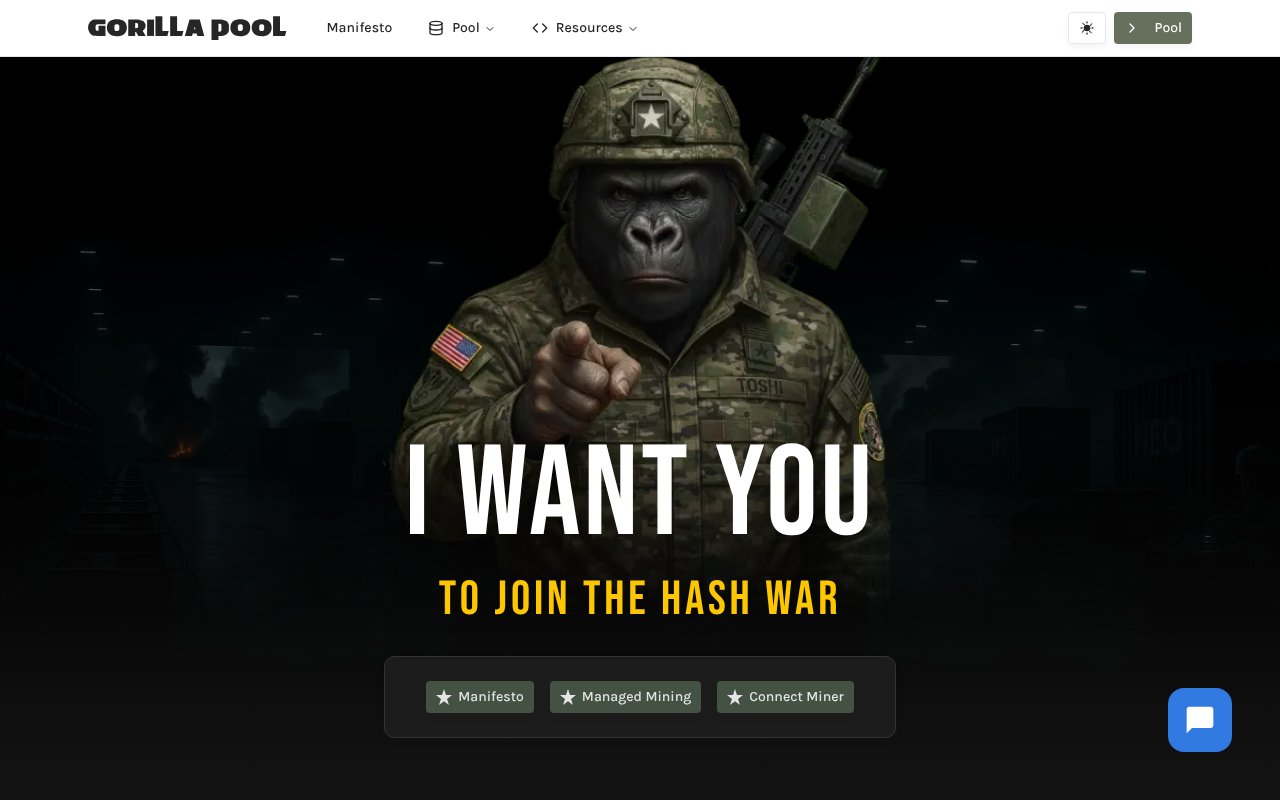 Screenshot of gorillapool.com