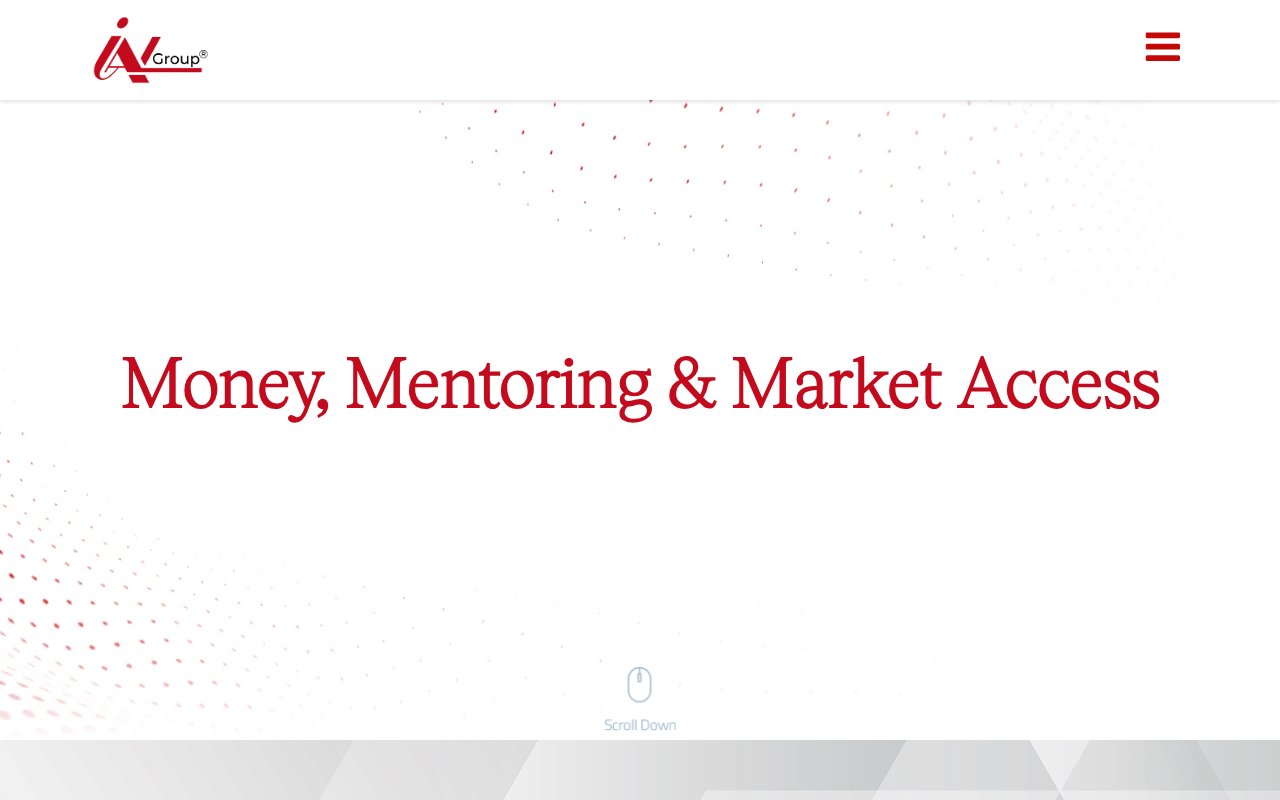 Screenshot of iangroup.vc