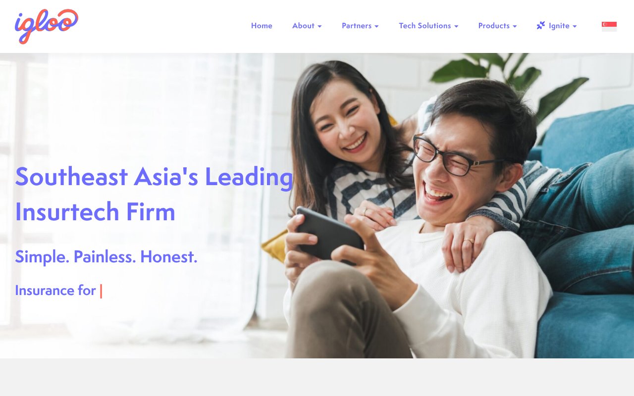 Screenshot of iglooinsure.com