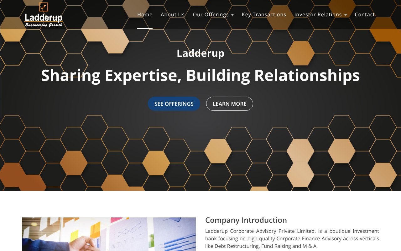 Screenshot of ladderupcorp.com