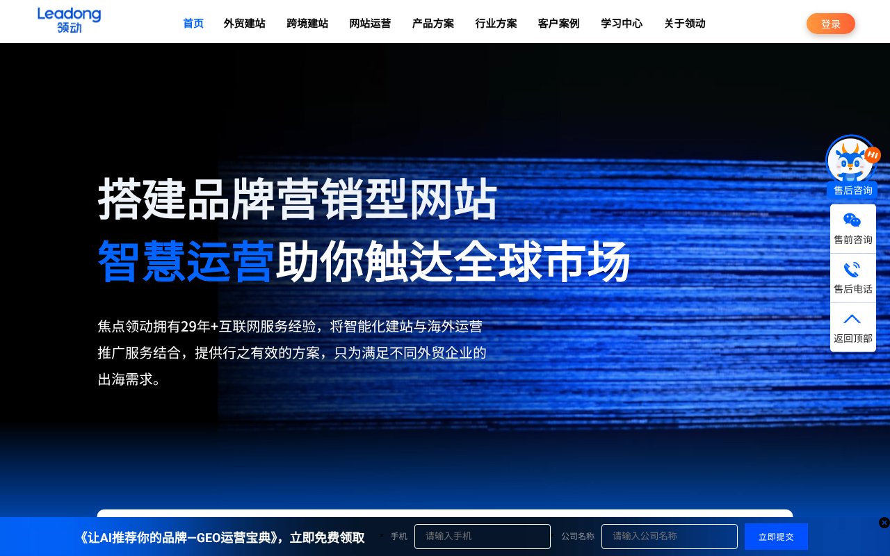 Screenshot of leadong.com