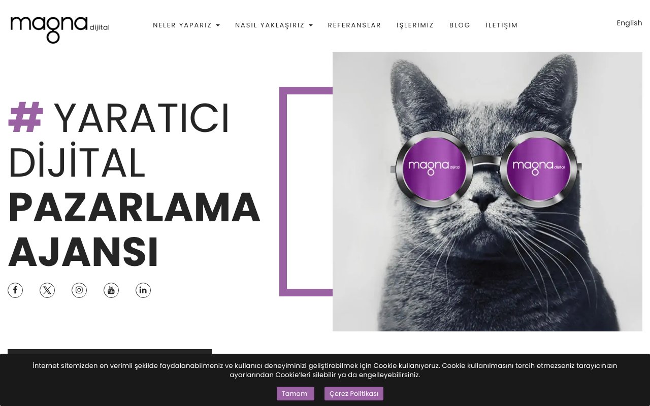 Screenshot of magnadijital.com.tr