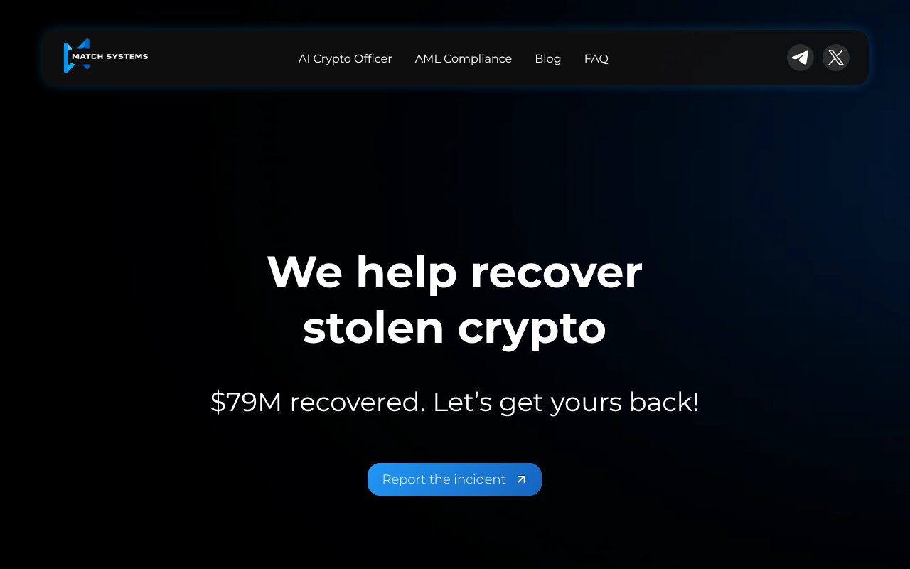 Screenshot of matchsystems.com