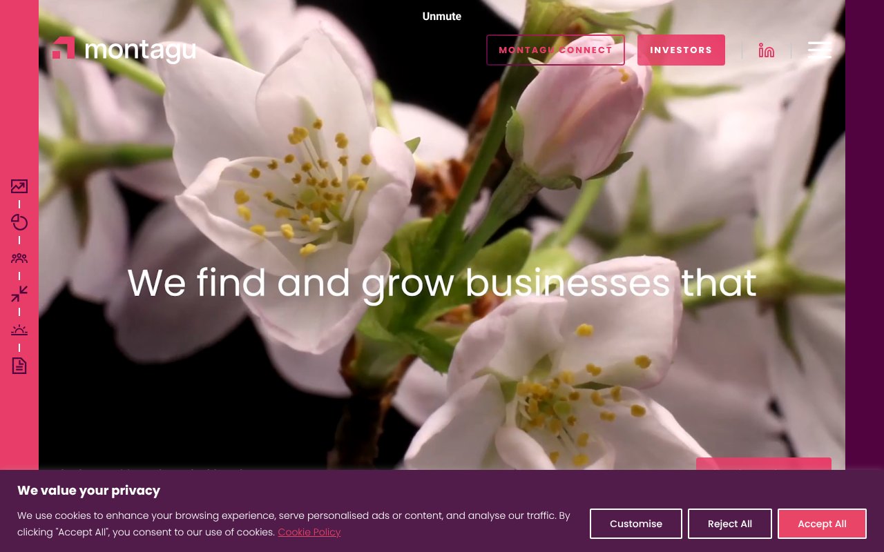 Screenshot of montagu.com