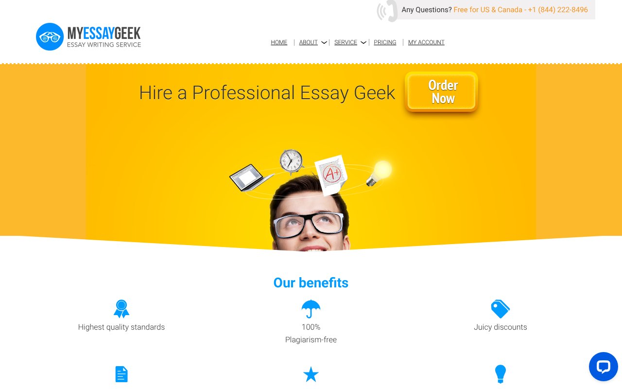 Screenshot of myessaygeek.com