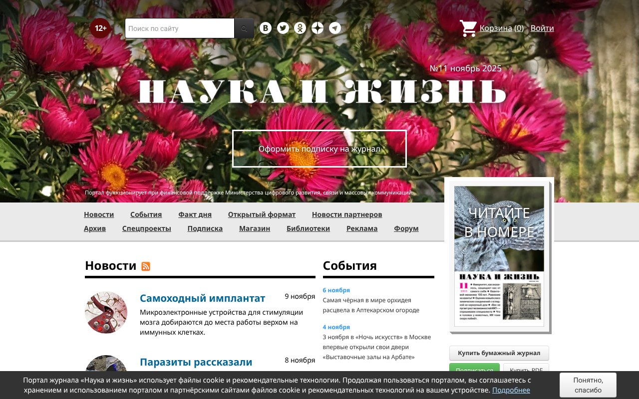 Screenshot of nkj.ru