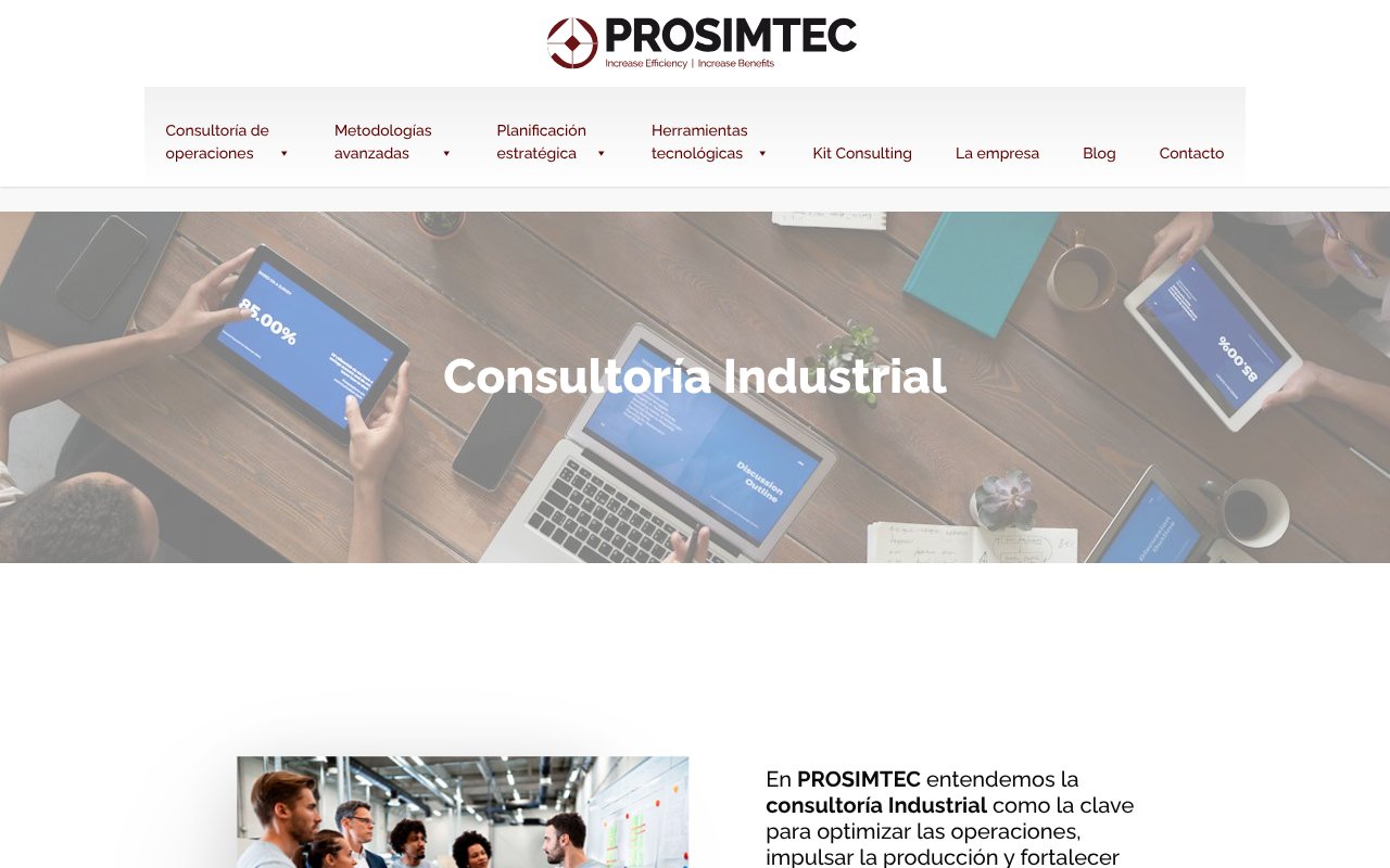 Screenshot of prosimtec.com