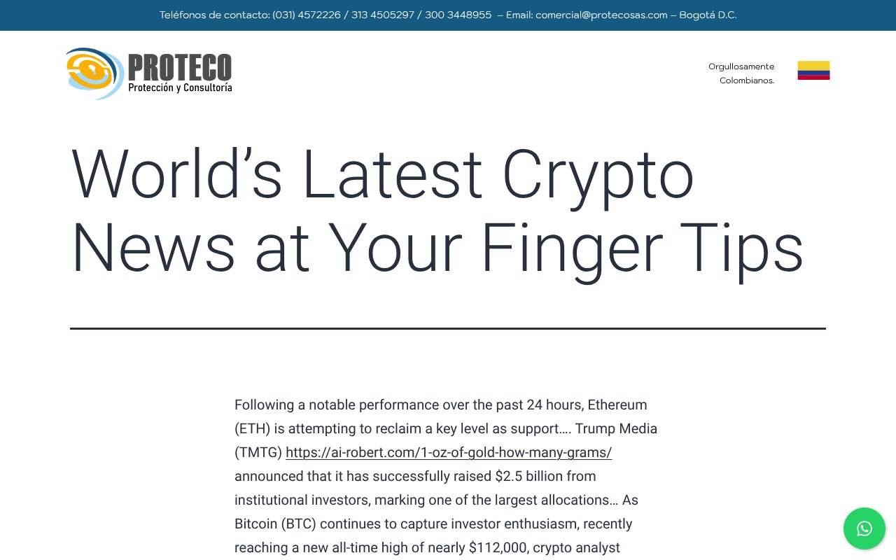 Screenshot of protecosas.com