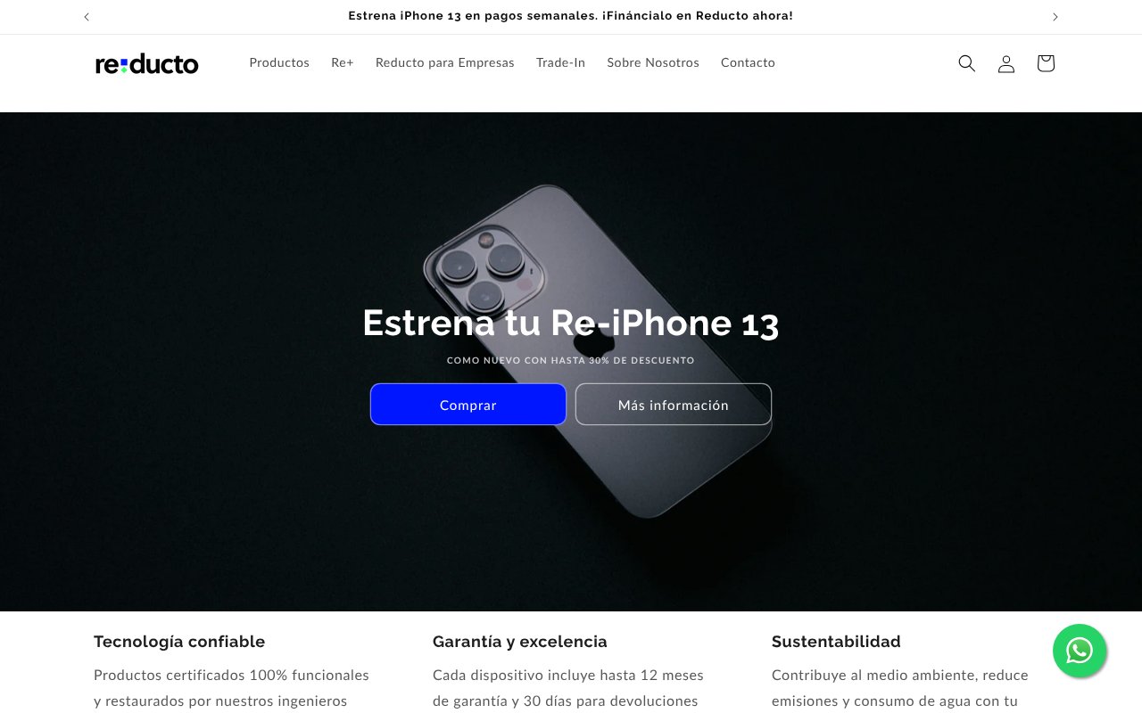 Screenshot of reducto.mx