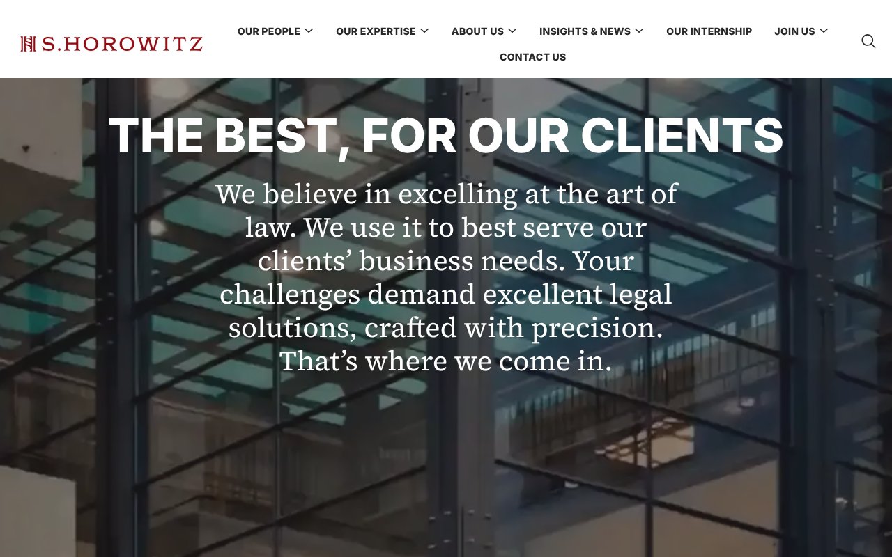 Screenshot of s-horowitz.com