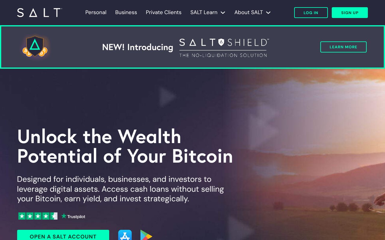 Screenshot of saltlending.com