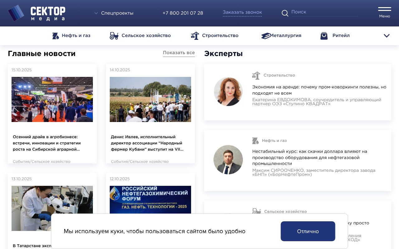 Screenshot of sectormedia.ru